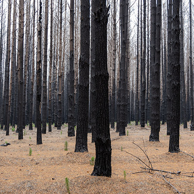 Climate, investors and the IPCC’s ‘code red’