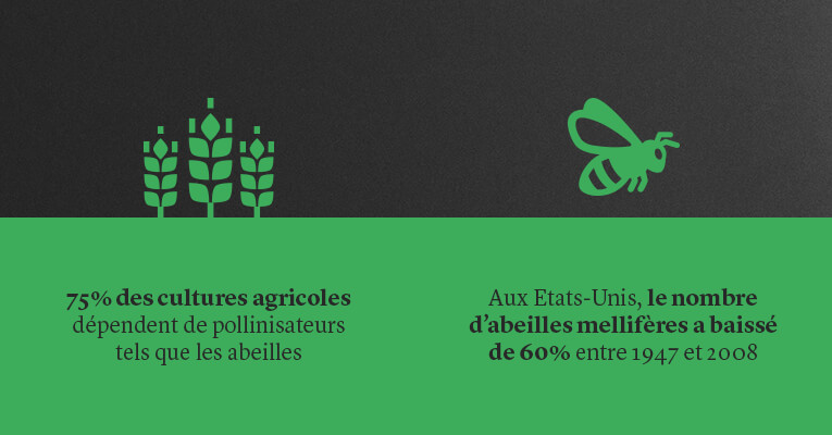Infographic-Agriculture-Bees_ArticleLOcom-FR.jpg